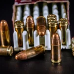 بهترین ساچمه تفنگ بادی برای شکار